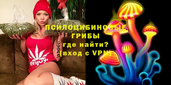 СК Зерноград
