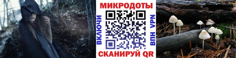 Купить  Кораблино  Галлюциногенные грибы мухоморы 