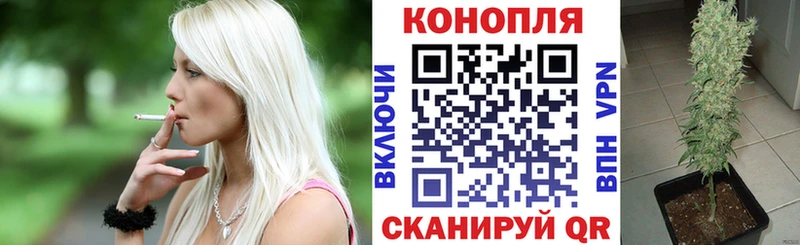 Купить закладки  Кораблино  МАРИХУАНА VHQ 